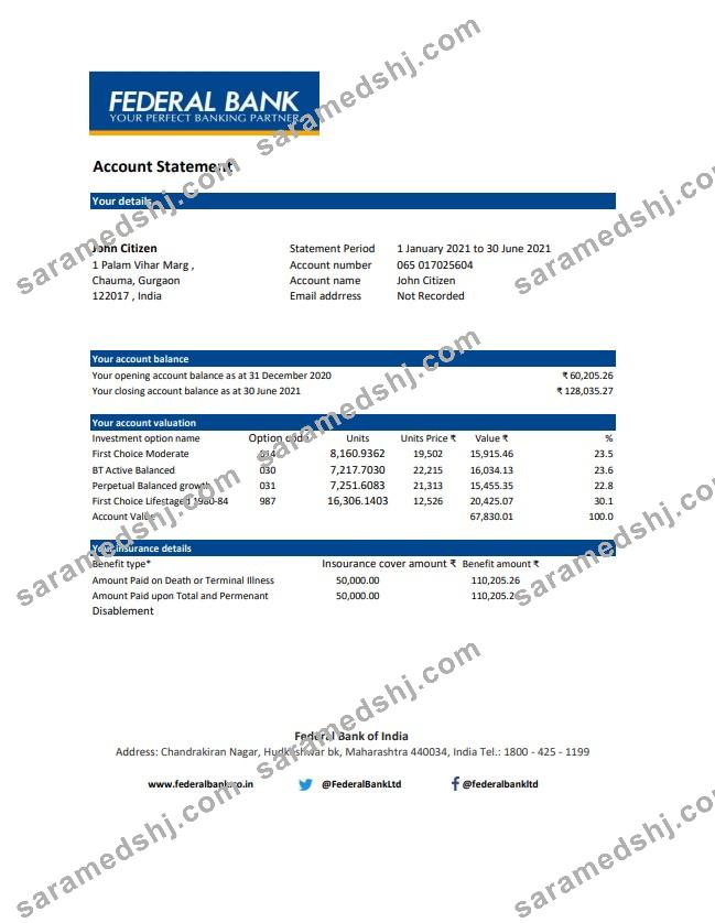 India Federal Bank statement easy to fill template in .xls and .pdf file format